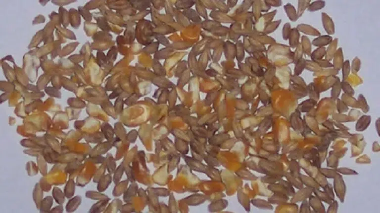 Specially Adapted Applications to Specific Industries Descripción de la imagen